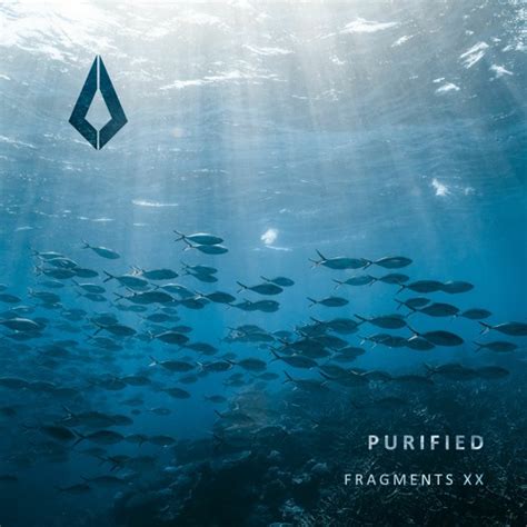 Stream Purified Records 